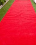 Red Carpet 7 metres x 2 Metres -  Hire Only image