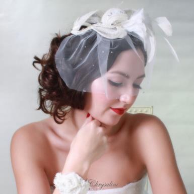 Deluxe Chrysalini Wedding Cage Veil, Bridal Hairpiece - AR81852 AR81852 Image 1