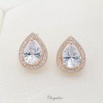 Bridal Jewellery, Chrysalini Wedding Earrings with Crystals - BAE0023 image