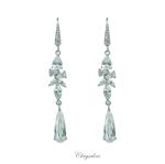 Bridal Jewellery, Chrysalini Wedding Earrings with Crystals - BAE1865 image