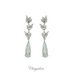 Bridal Jewellery, Chrysalini Wedding Earrings with Crystals - BE85908 image