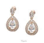 Bridal Jewellery, Chrysalini Wedding Earrings with Crystals - CE015 image