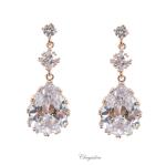 Bridal Jewellery, Chrysalini Wedding Earrings with Crystals - CE953 image