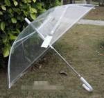 Clear Wedding Umbrella image